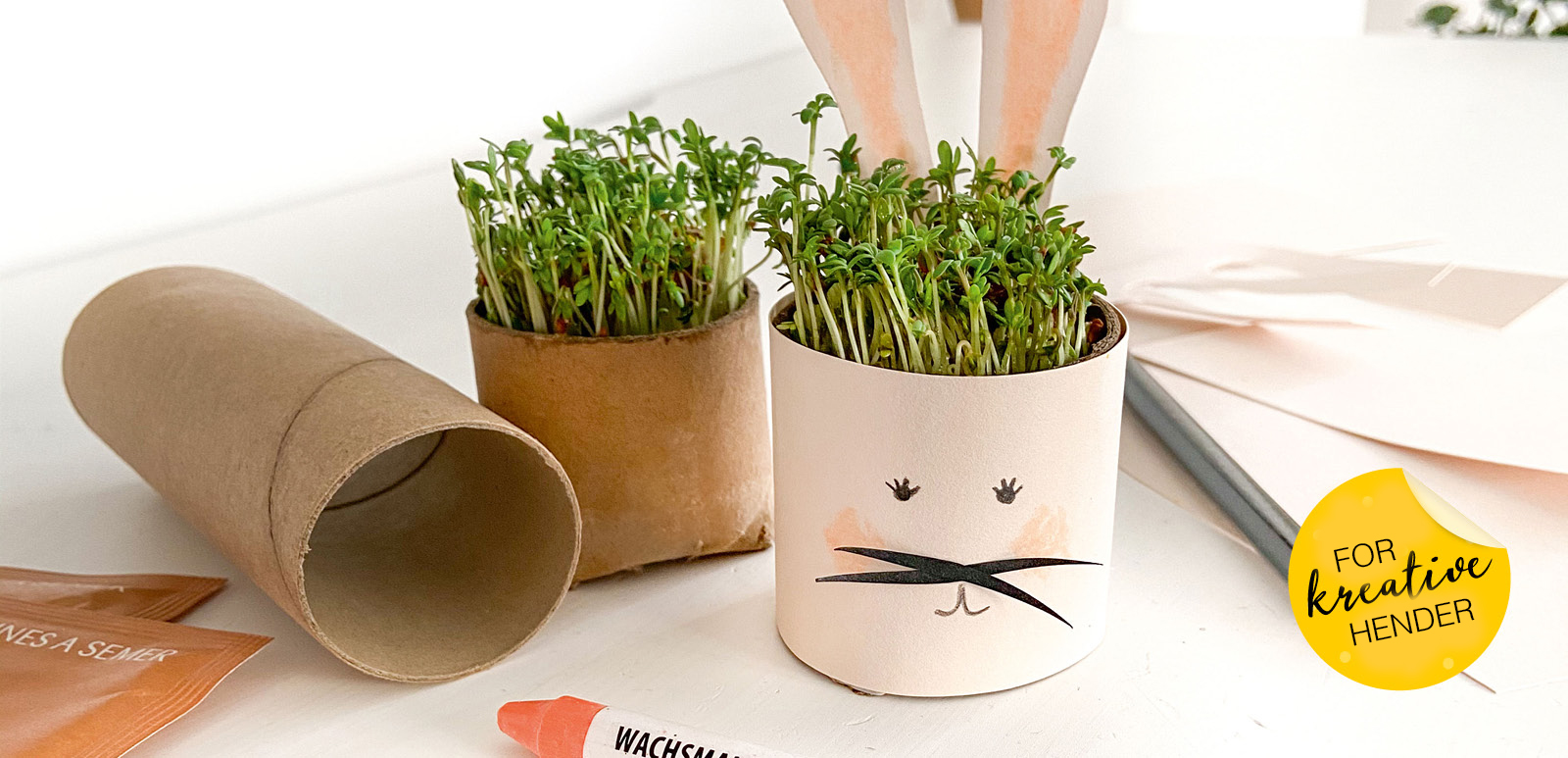 Formingsaktiviteter: Karsefrø Kaniner